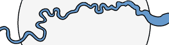 Thames through London